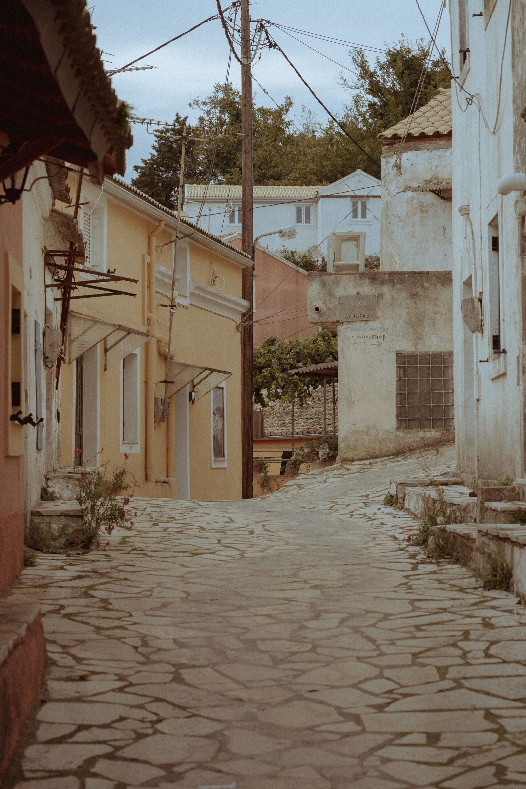 pexels-maximilian-oeverhaus-10678445